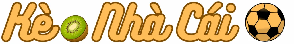 https://casatrans.co/